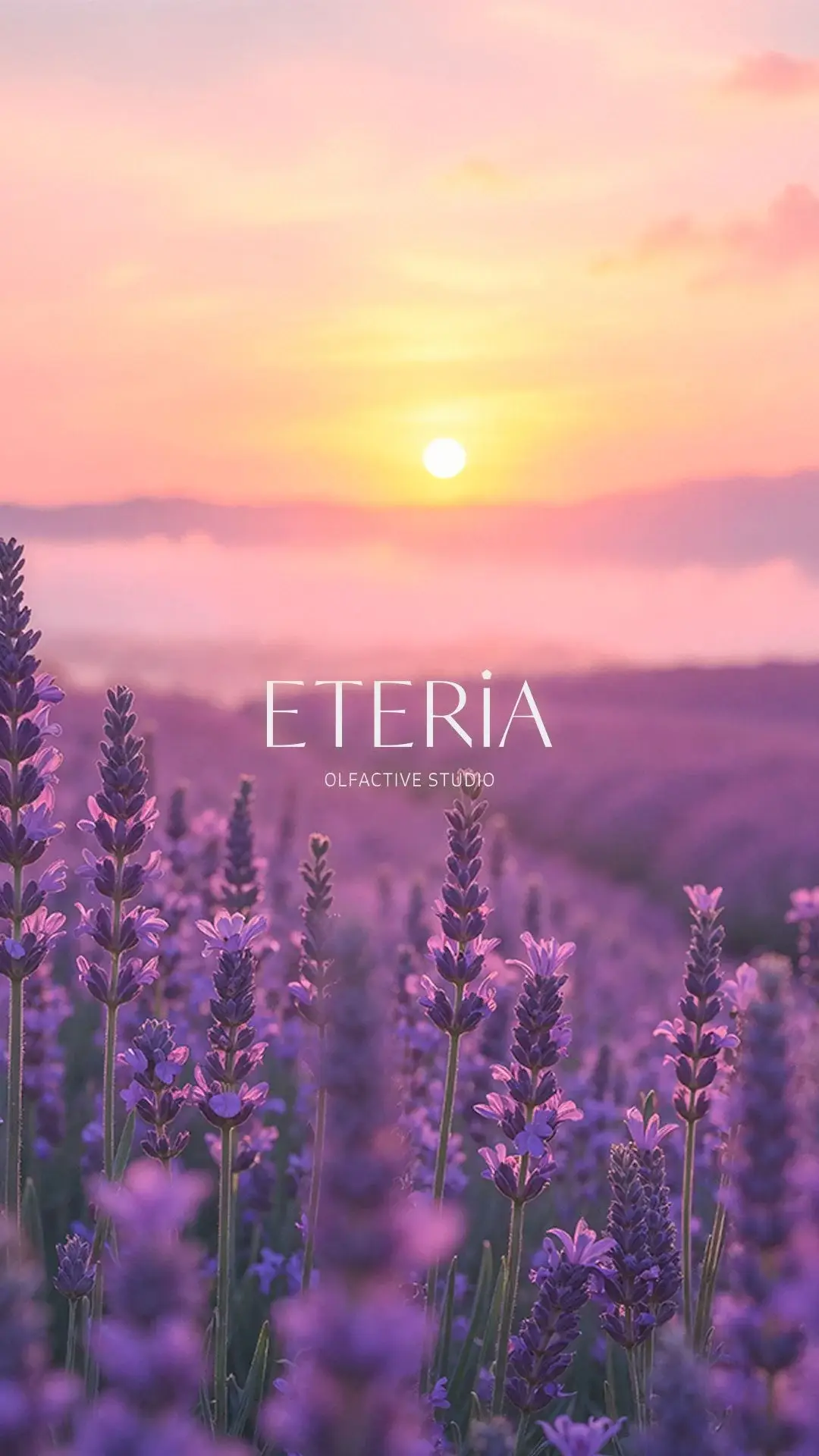 A Quinta Essência - A Origem de Etéria